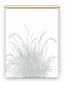 Preview: Rollo Reed24 lichtgrau blanco  - Sichtschutz Extartiqe